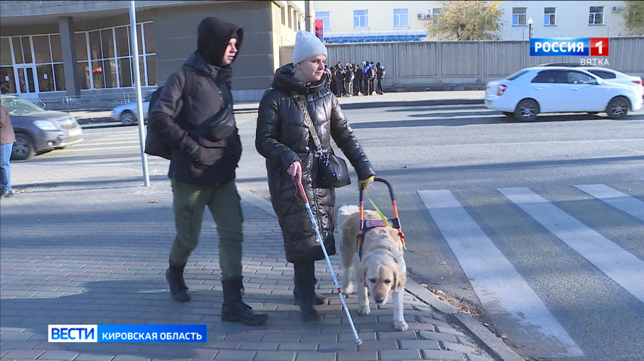 Международный день белой трости. Международный день белой трости.